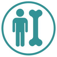 Develops Strong Bones