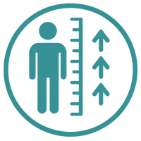 Supports Height Growth